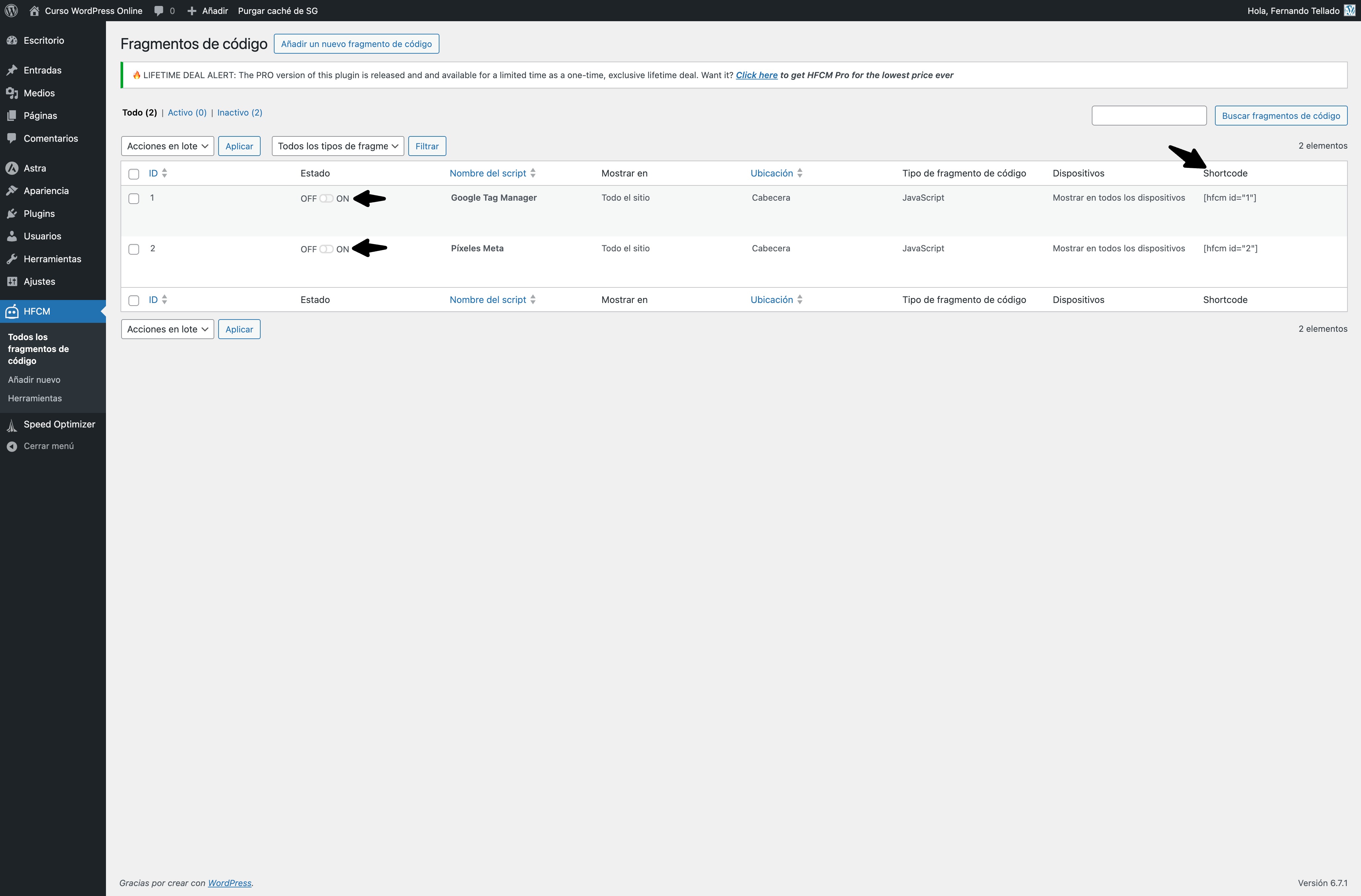 todos los fragmentos de código curso wordpress online — wordpress 22 01 2025 12 54