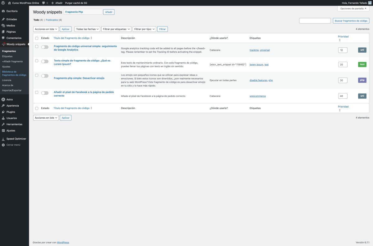 woody snippets curso wordpress online — wordpress 22 01 2025 14 43