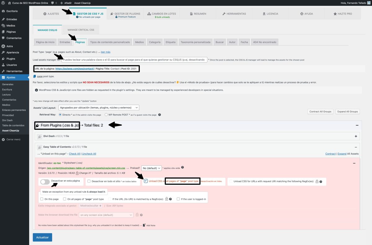 desactivar css js plugins por tipo de contenido asset cleanup