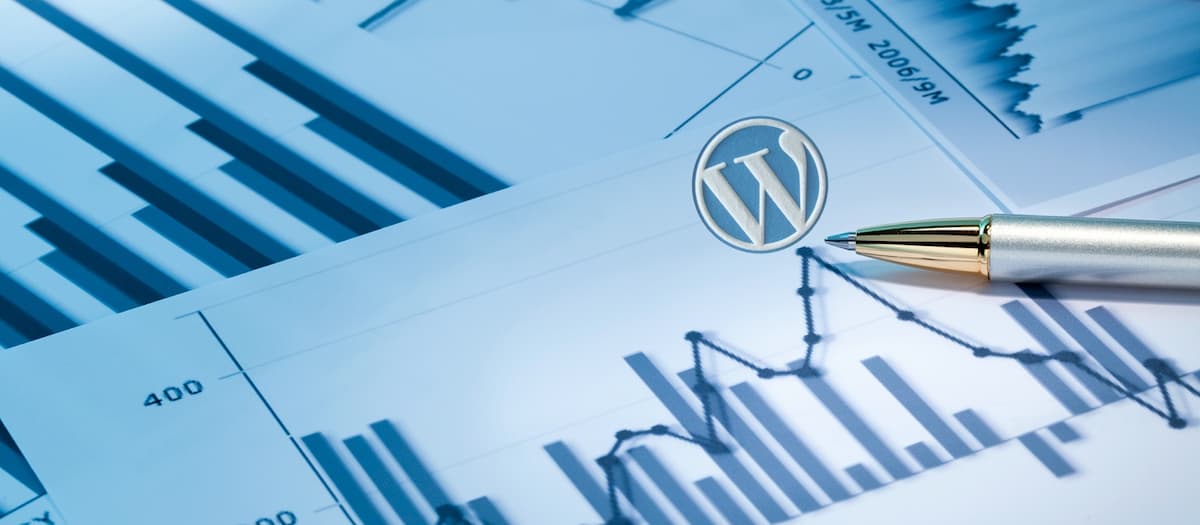 estadisticas wordpress papel y boli ayudawp.com