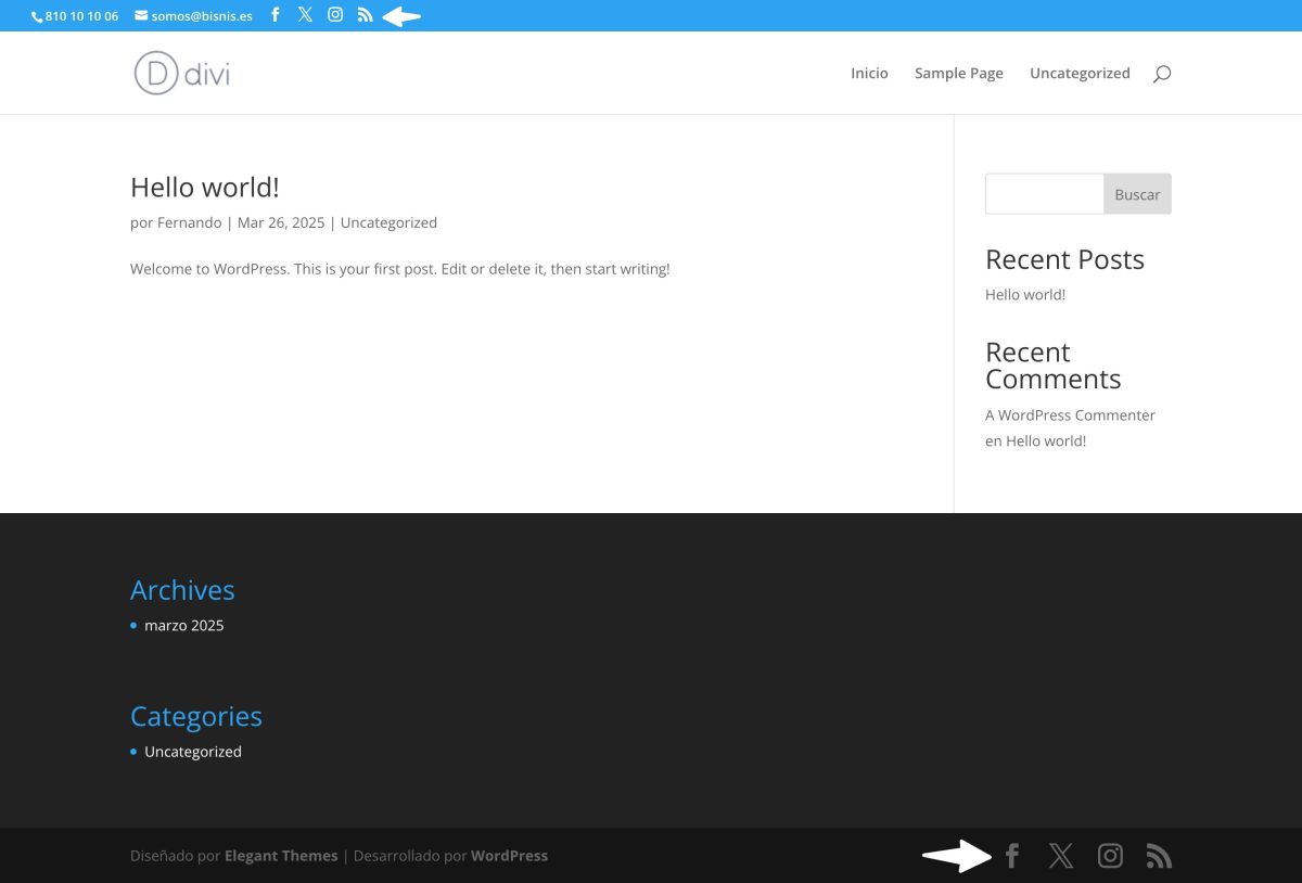 iconos sociales divi por defecto