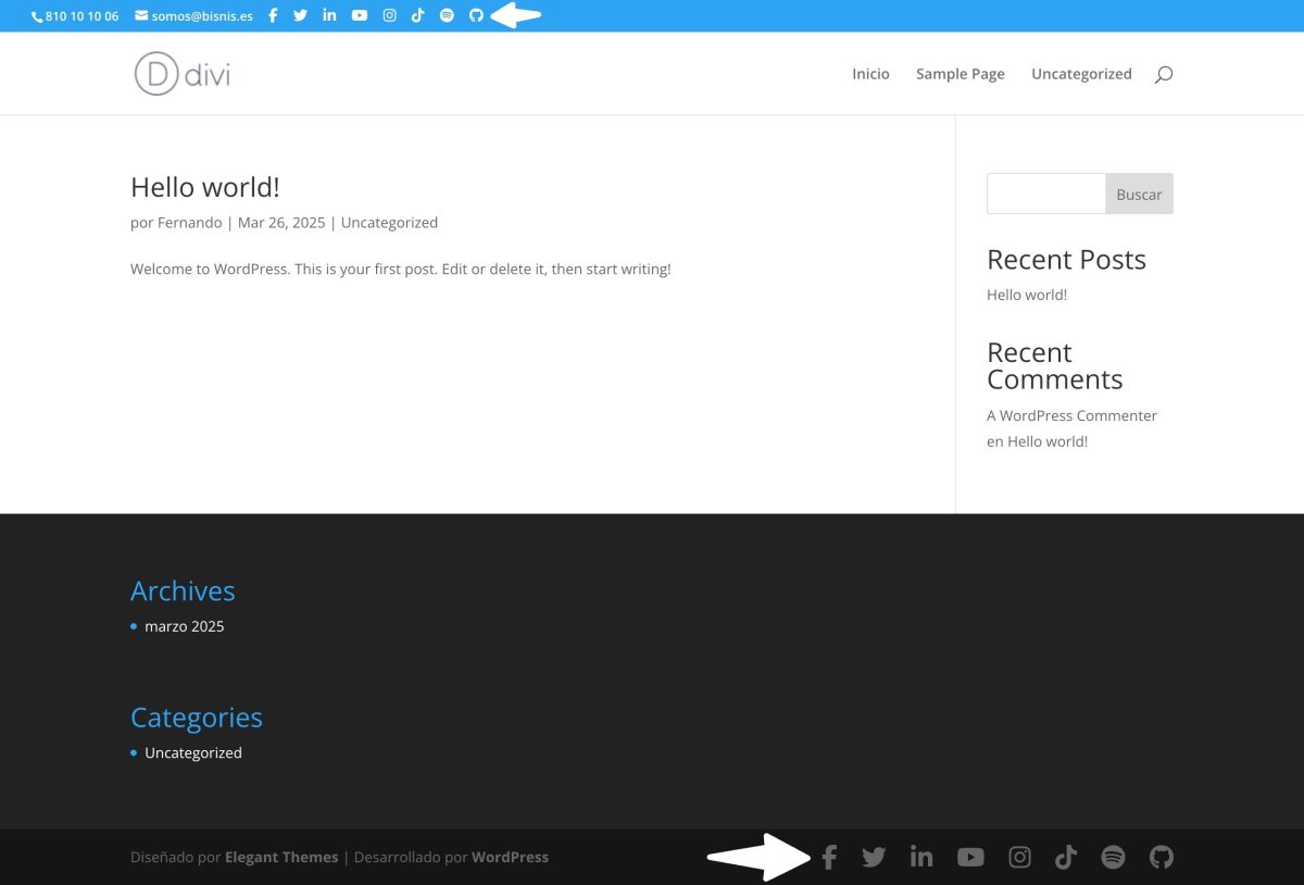 mas iconos sociales divi