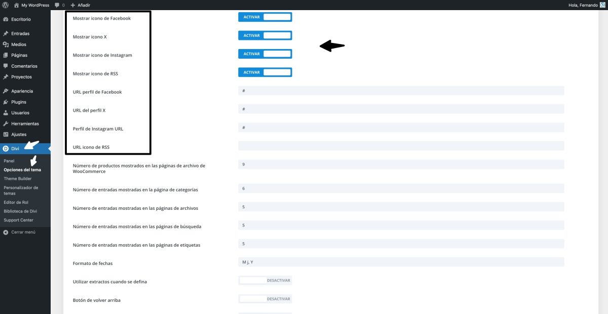 opciones iconos sociales divi por defecto