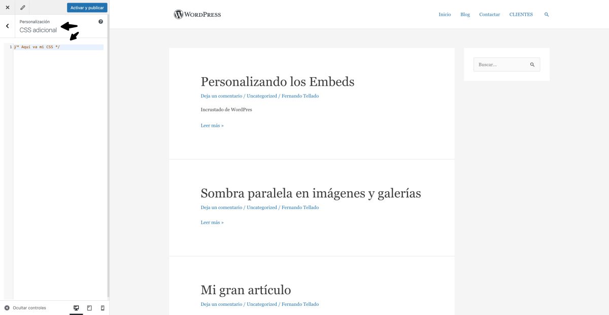 css adicional personalizador wordpress tema clasico