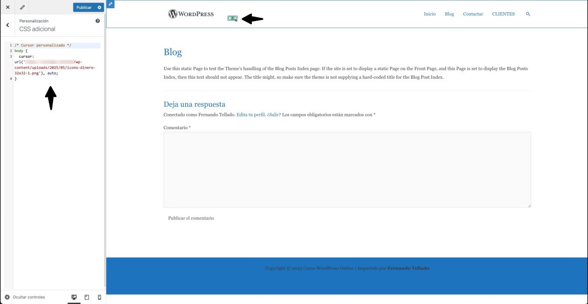 icono personalizado css adicional personalizador wordpress