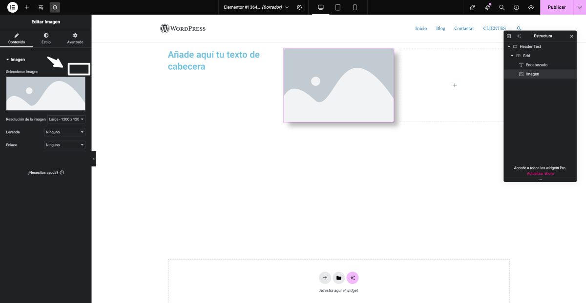 sin ia editar imagen elementor