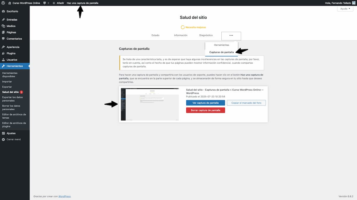 health and troubleshooting capturas pantalla