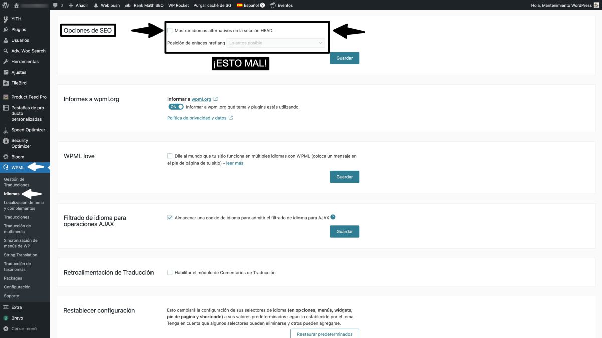 wpml hreflang head desactivado