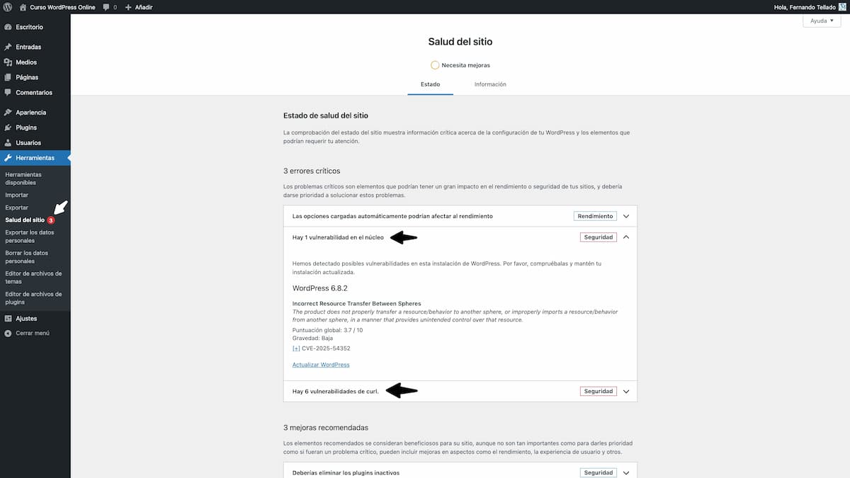 wpvulnerability estado salud del sitio