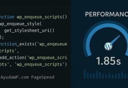 code pagespeed wordpress