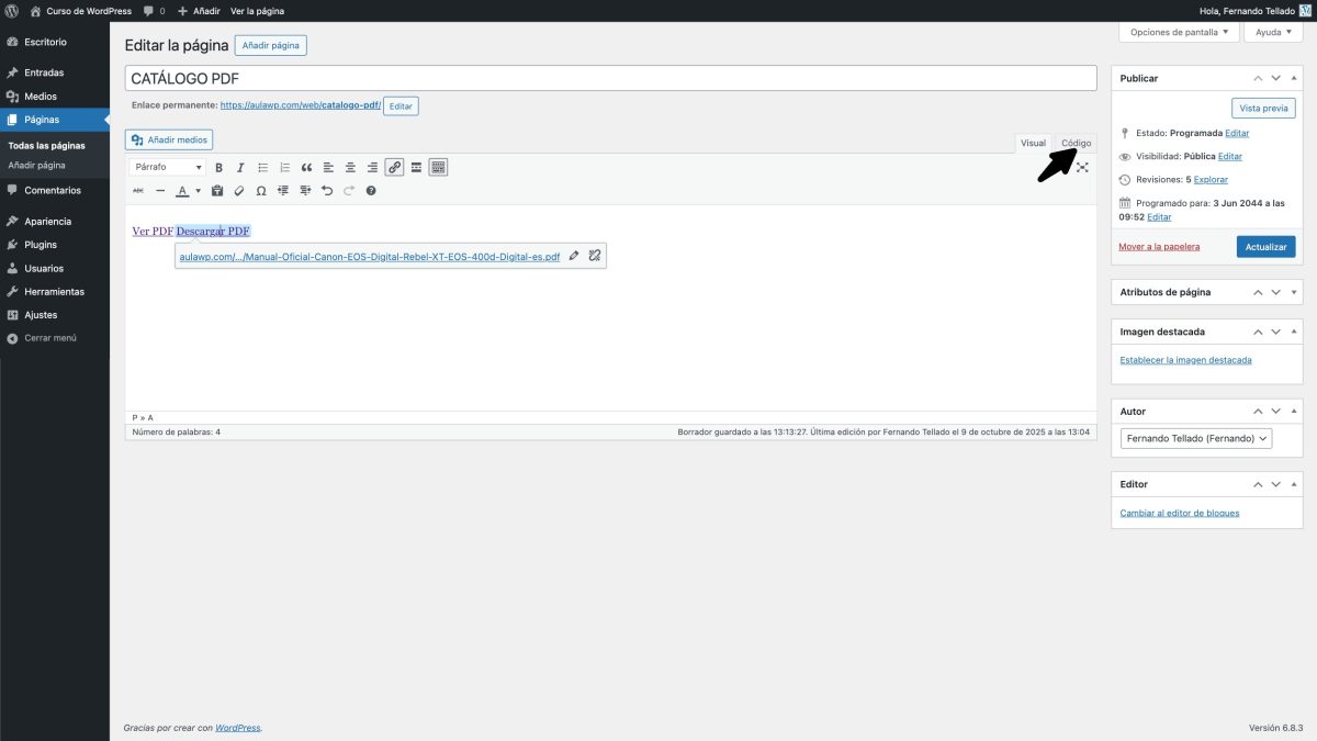 pestaña editor codigo wordpress añadir parametro download pdf