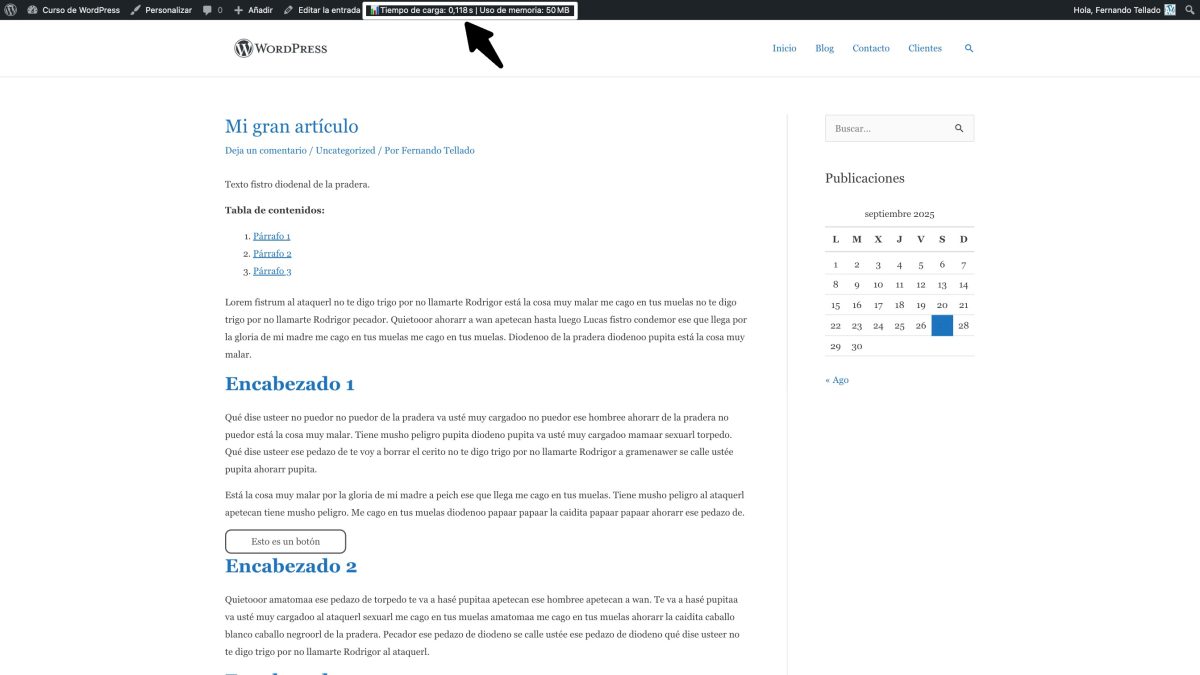 tiempo carga y uso de memoria barra admin wordpress