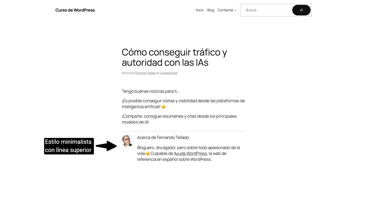 caja bio wordpress estilo minimalista con linea superior