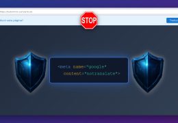 meta tag notranslate google chrome wordpress