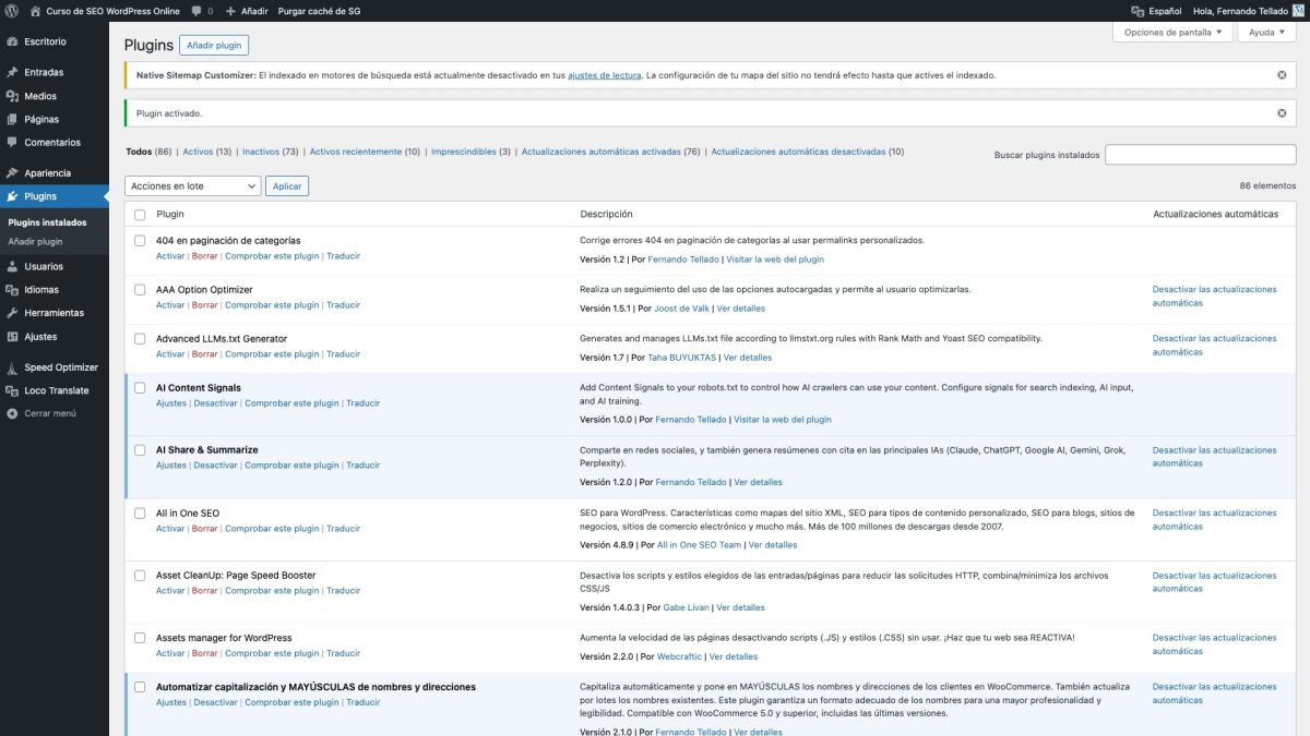 native sitemap customizer deteccion noindex ajustes wordpress