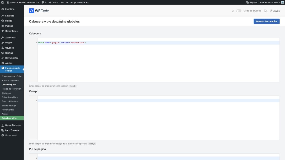 wpcode cabecera y pie notranslate