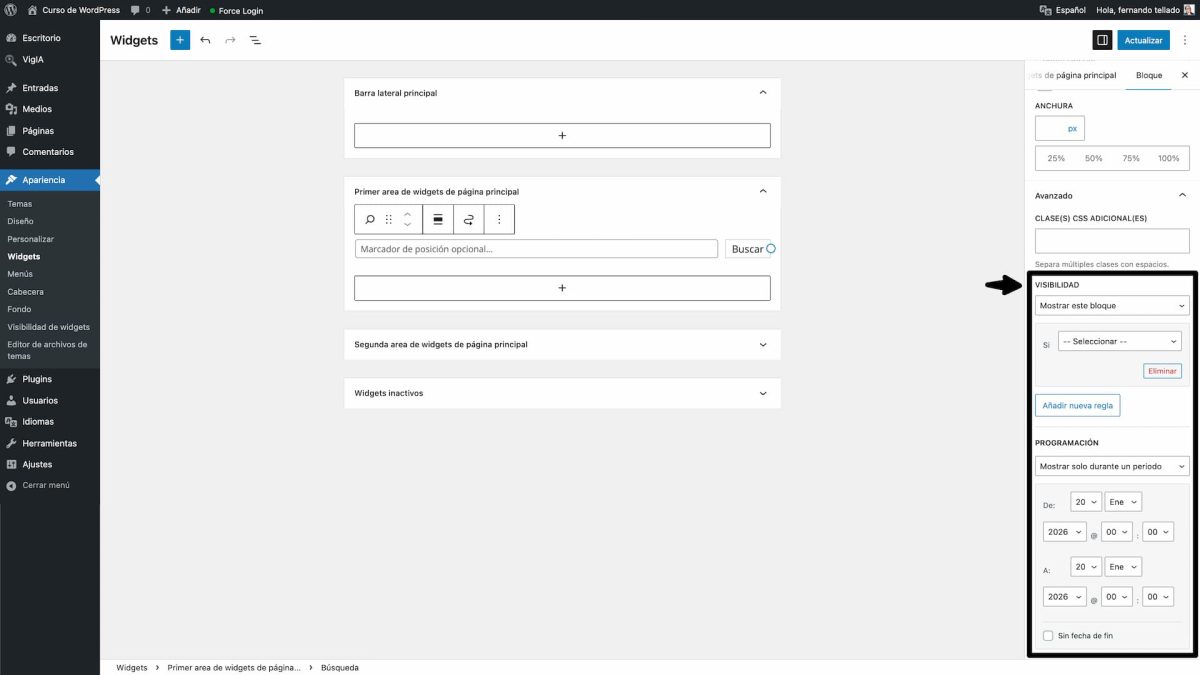 reglas programacion y visibilidad widgets bloques