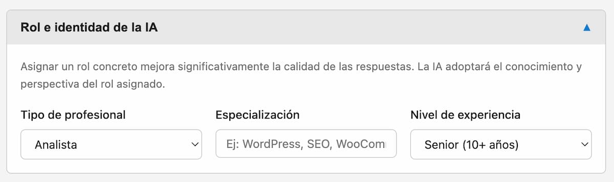 rol identidad ia promp engineering