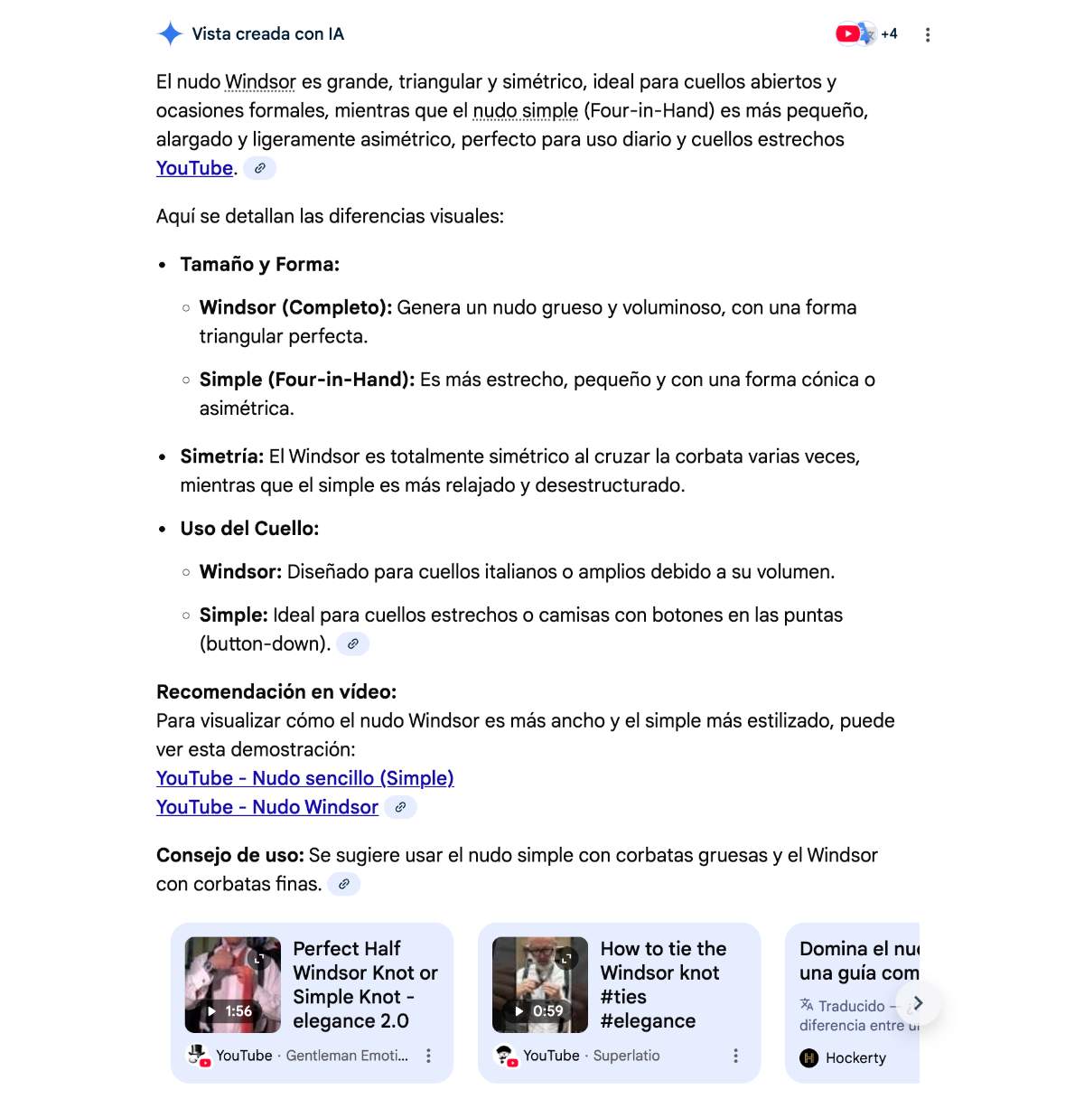 ai overview carrusel video