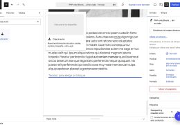 insertar bloque solo php wordpress 7