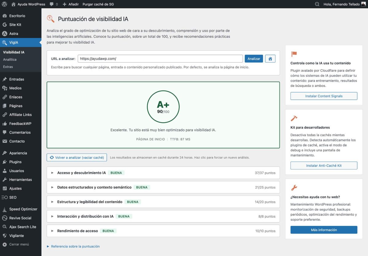 puntuacion visibilidad ia wordpress vigia