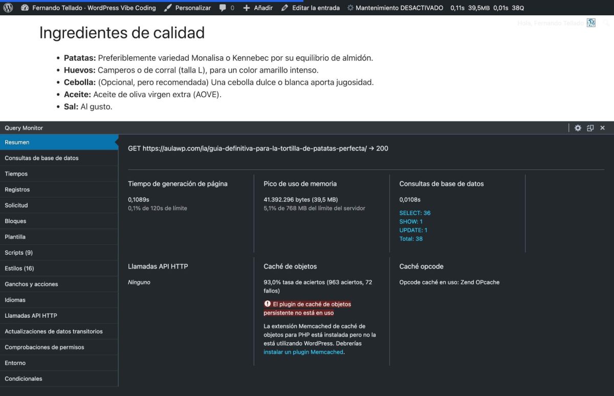 query monitor plugin vibe coding v1