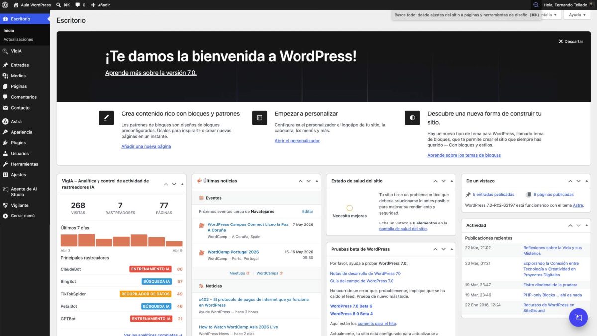 lupa tema astra barra admin wordpress