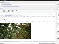 ai share summarize generador resumenes editor clasico WordPress